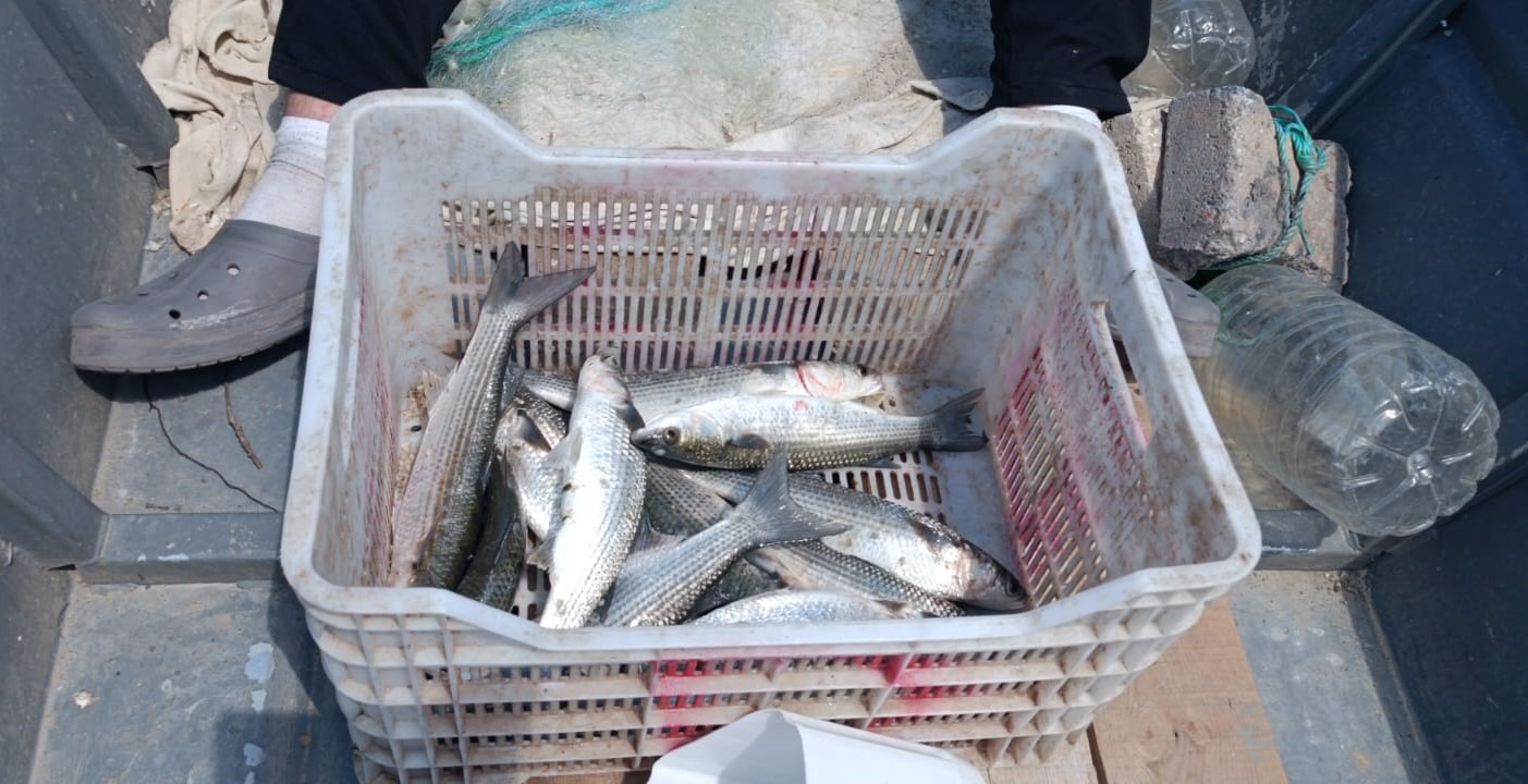 Meriç’in Su Altı Zenginliği İncelendi  Edirne’de su ürünleri kaynaklarını korumak ve sürdürülebilir balıkçılığı desteklemek amacıyla Meriç Nehri’nde avlak sahası denetimi ve su ürünleri stok tespiti çalışması yapıldı. 